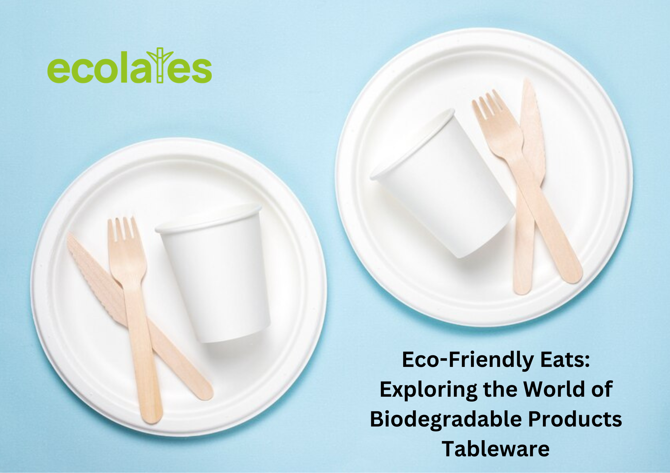 Eco-Friendly Eats: Exploring the World of Biodegradable Products Tableware