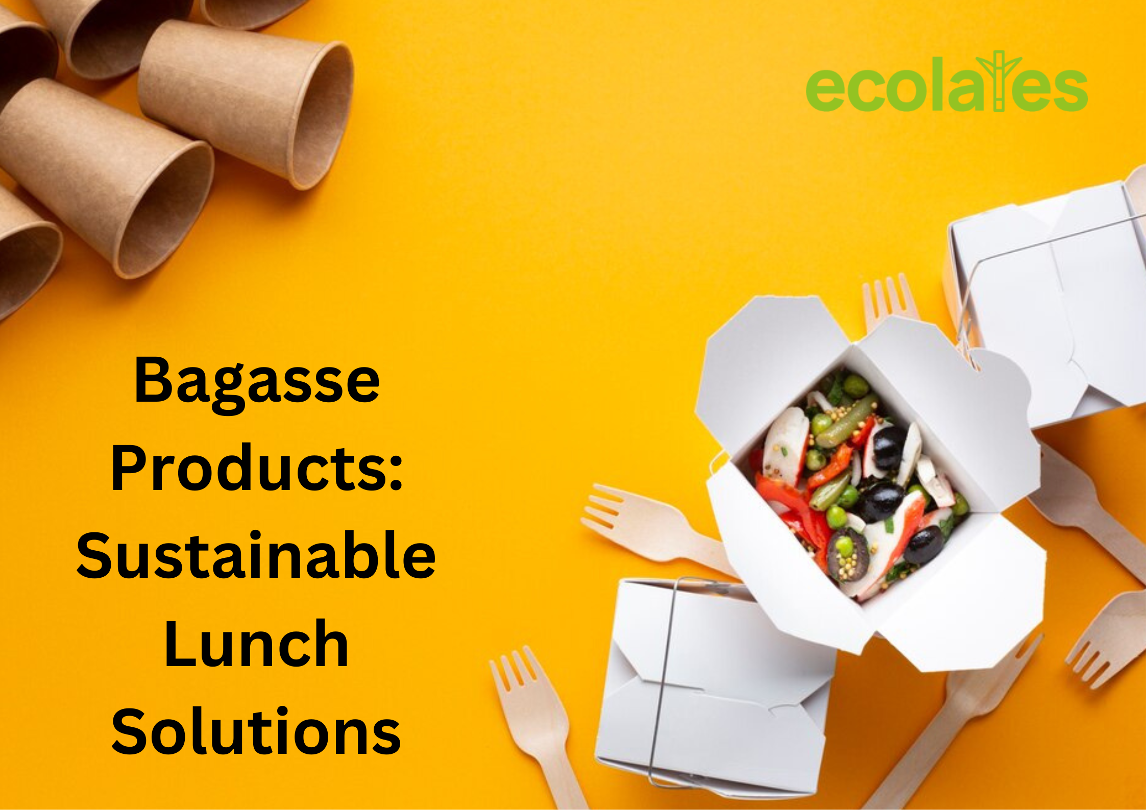 Bagasse Products: Sustainable Lunch Solutions
