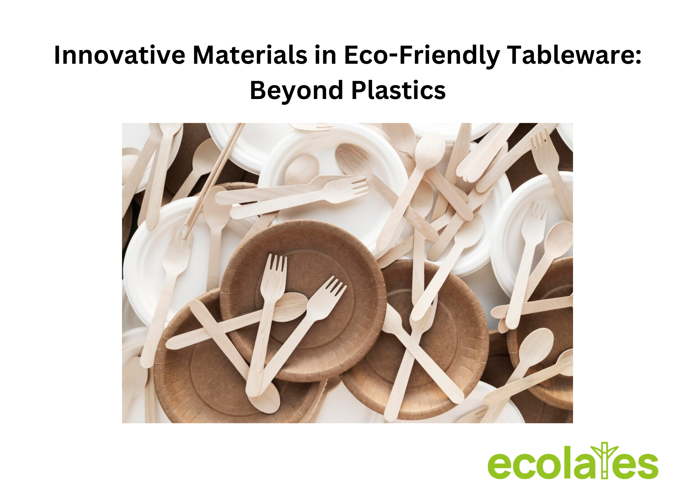 Innovative Materials in Eco-Friendly Tableware: Beyond Plastics
