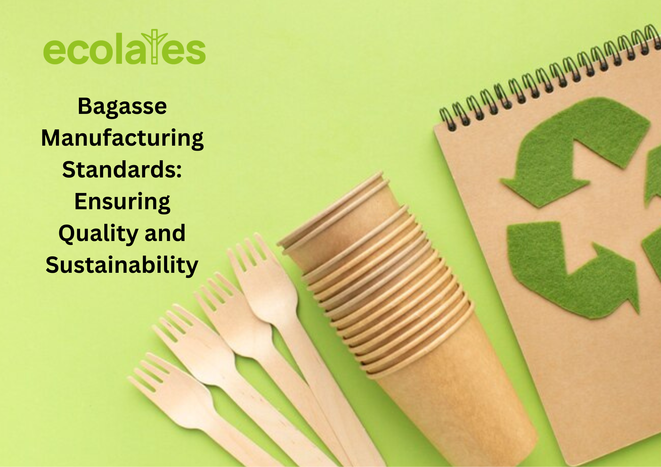 Bagasse Manufacturing Standards: Ensuring Quality and Sustainability