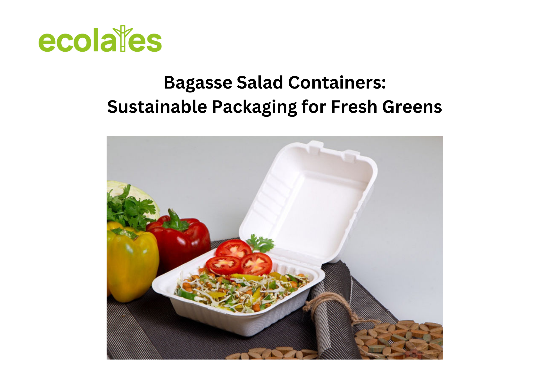 Bagasse Salad Containers: A Fresh Approach to Sustainable Packaging