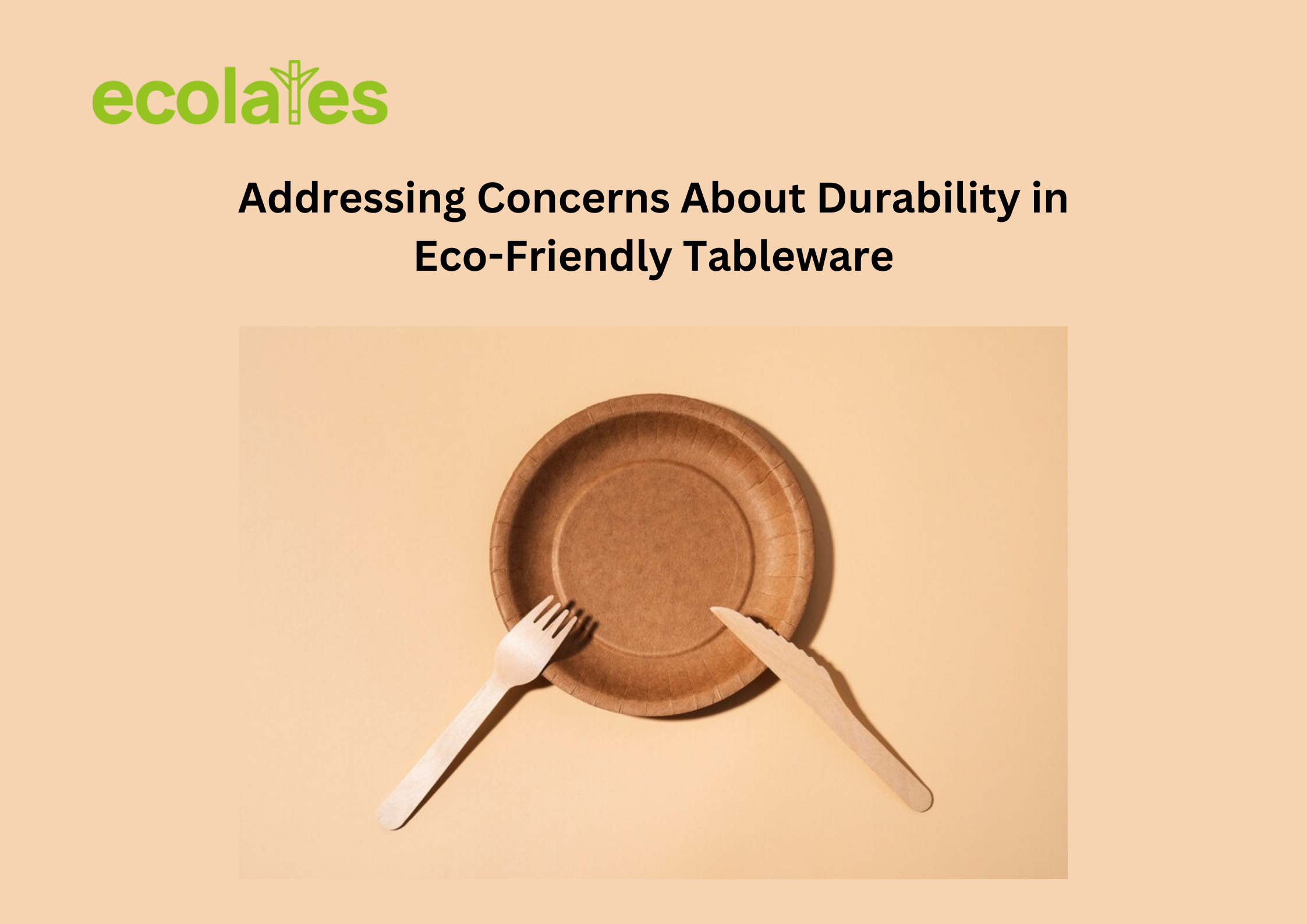 Addressing Concerns About Durability in Eco-Friendly Tableware