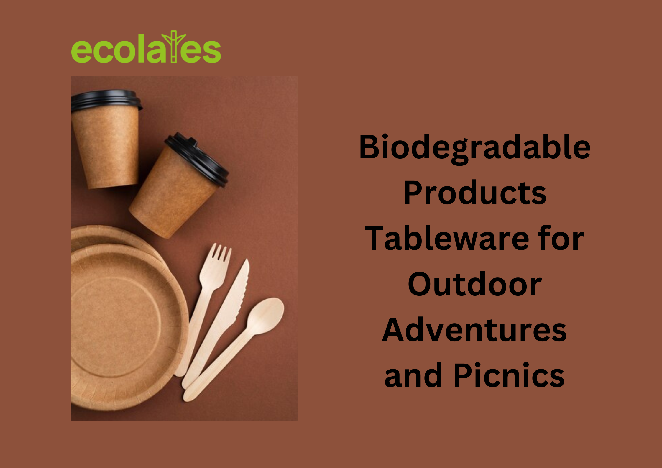 Biodegradable Products Tableware for Outdoor Adventures and Picnics