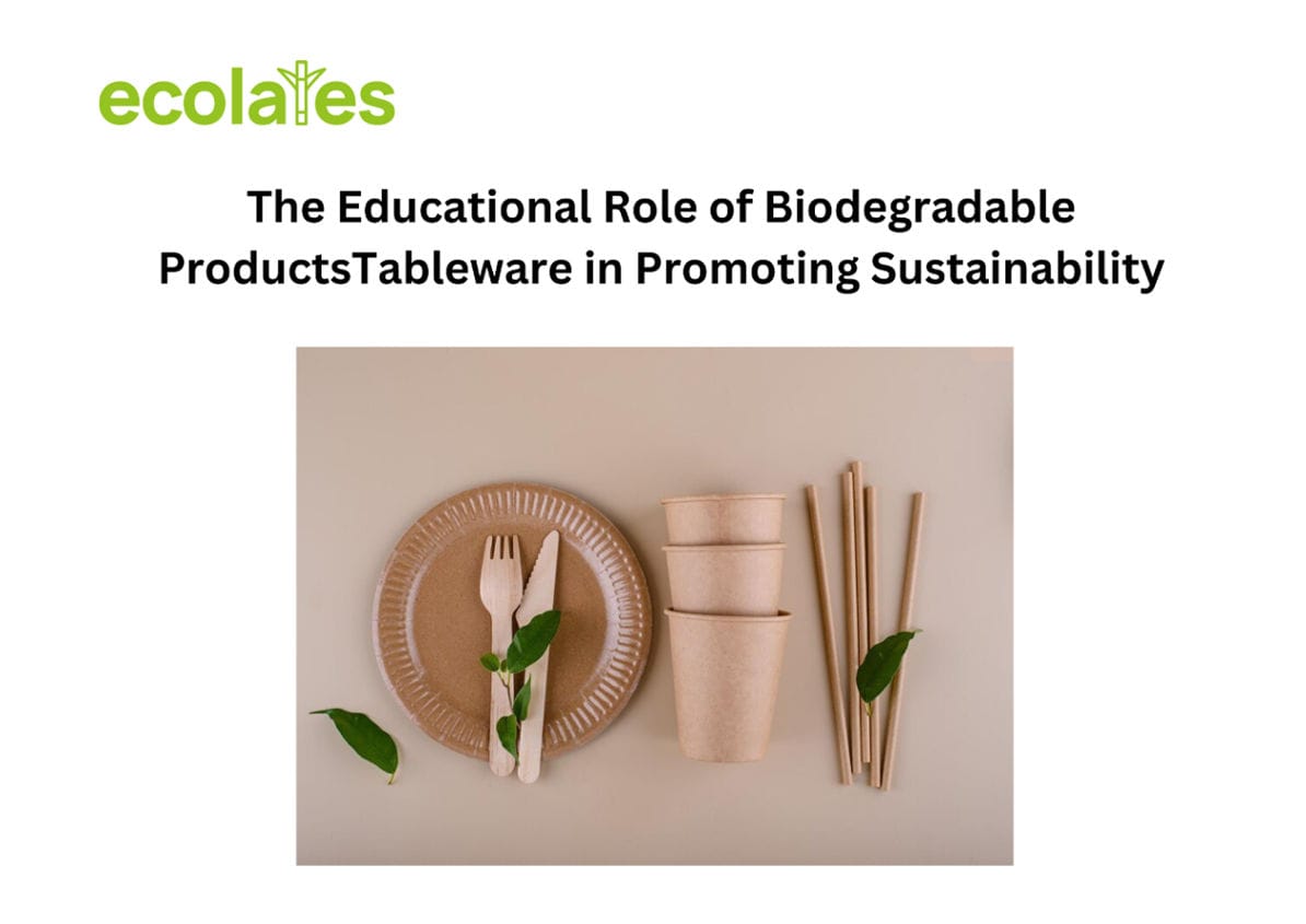 The Educational Role of Biodegradable Products Tableware in Promoting Sustainability