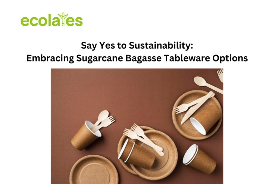 Say Yes to Sustainability: Embracing Sugarcane Bagasse Tableware Options