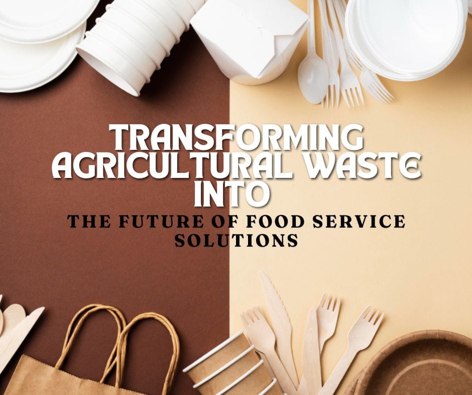 Bagasse Tableware: Transforming Agricultural Waste into the Future of Food Service Solutions