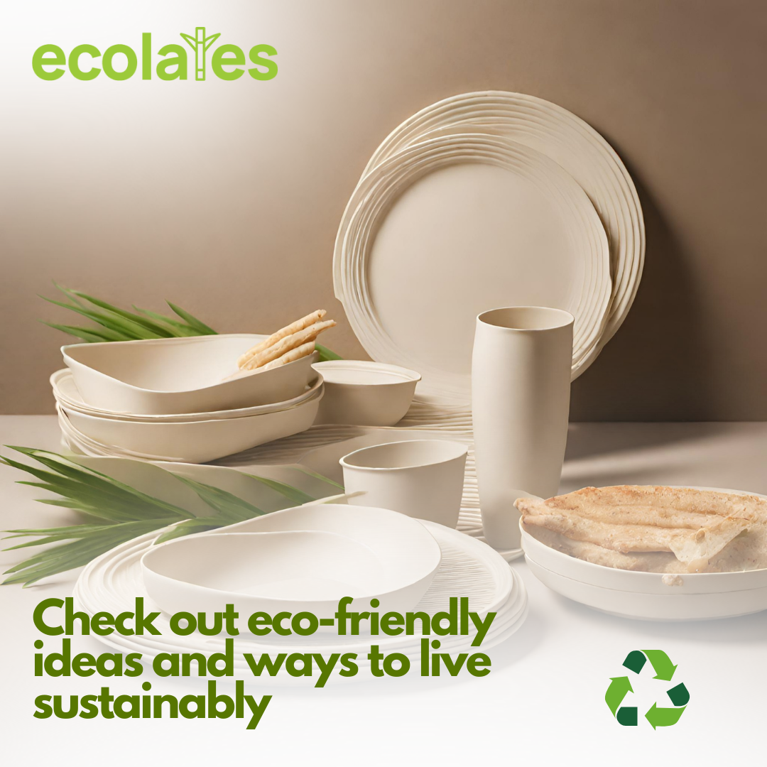 Why Switch to Eco-Friendly Dinnerware?