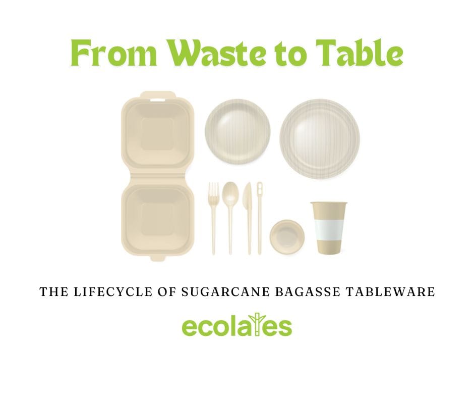From Waste to Table: The Lifecycle of Sugarcane Bagasse Tableware