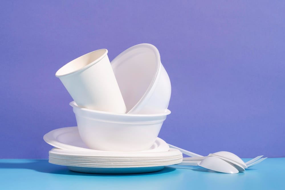 The Hidden Benefits of Switching to Sugarcane Bagasse Plates and Bowls in Your Restaurant