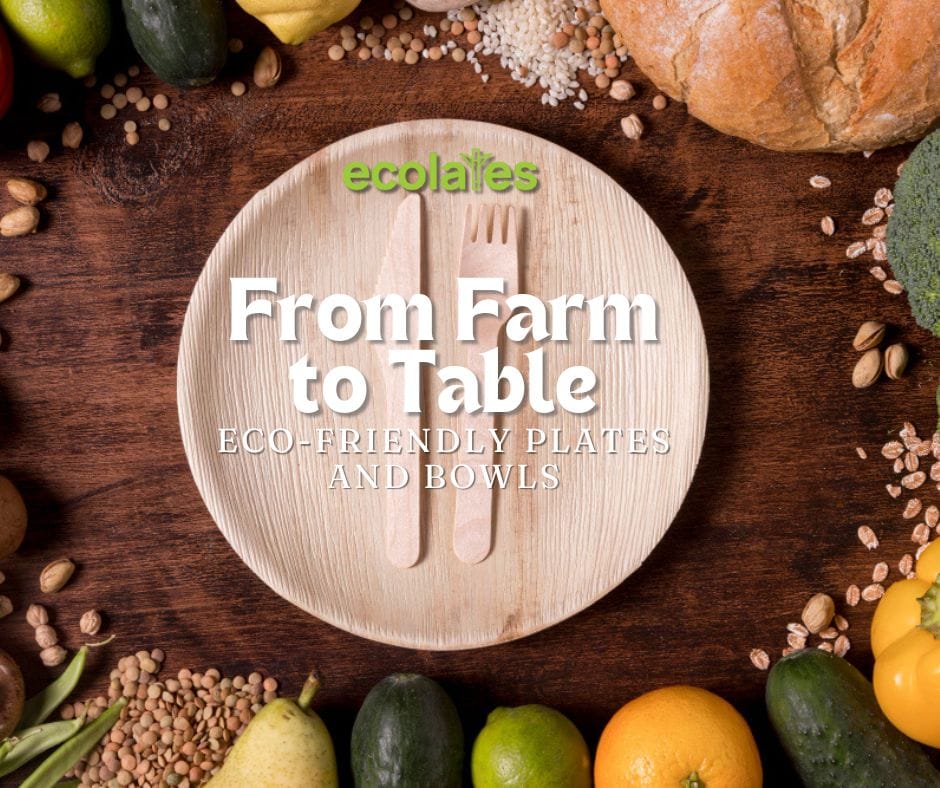 From Farm to Table: How Sugarcane Bagasse Transforms into Eco-Friendly Plates and Bowls