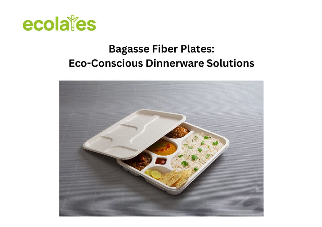 The Science Behind Sugarcane Bagasse: Why It's a Game-Changer in Disposable Tableware