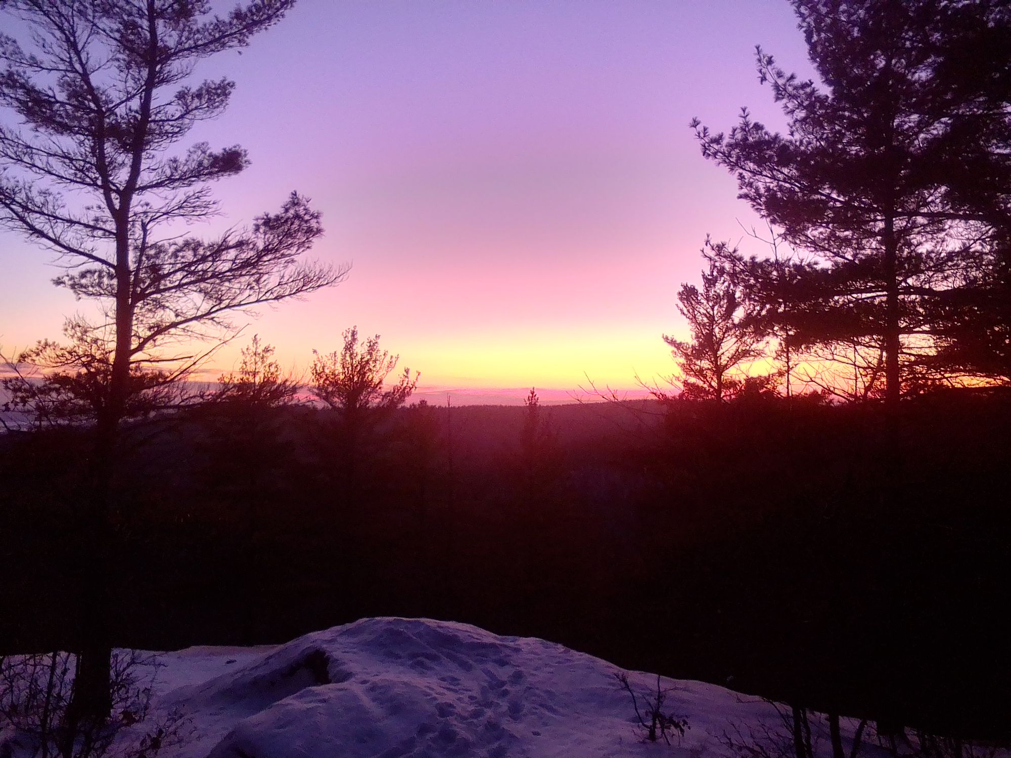 Self-Determination Institute