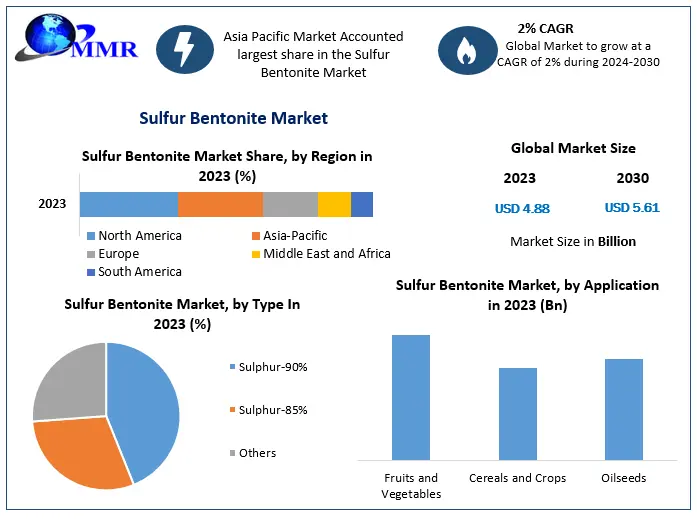 Sulfur Bentonite Market – Global Industry Analysis and Forecast (2024-2030)