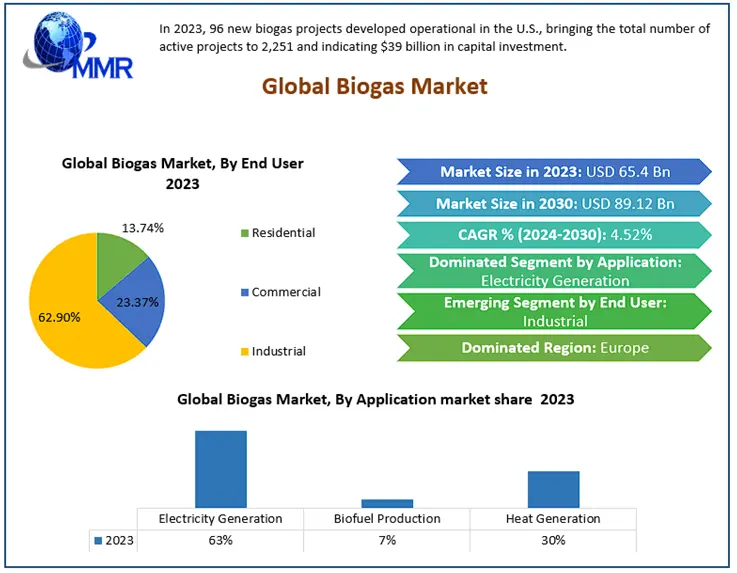 Biogas Market Projection: Comprehensive Review of Size, Share, and Revenue 2024 to 2030