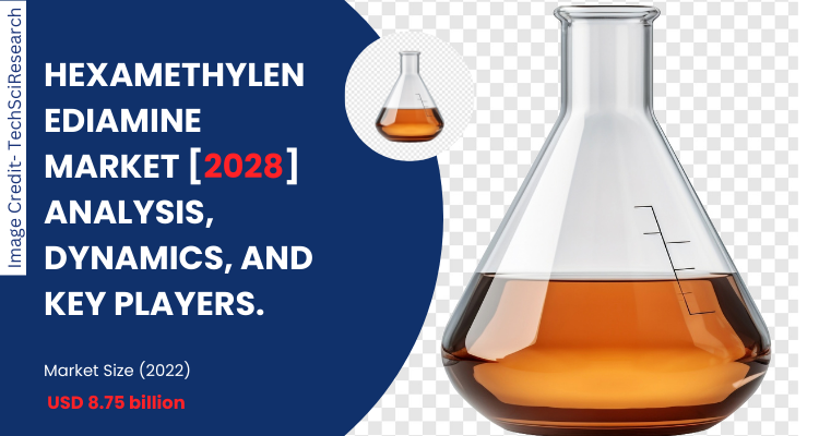 Hexamethylenediamine Market [2028] Key Trends and Strategies for Expansion