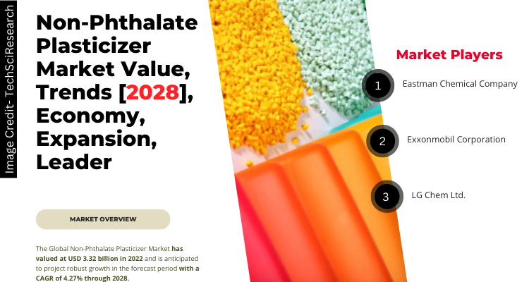 Non-Phthalate Plasticizer Market [2028] Key Trends and Strategies for Expansion