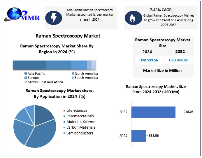 Raman Spectroscopy Market Share, Growth Potential, and Industry Forecast (2025–2032)