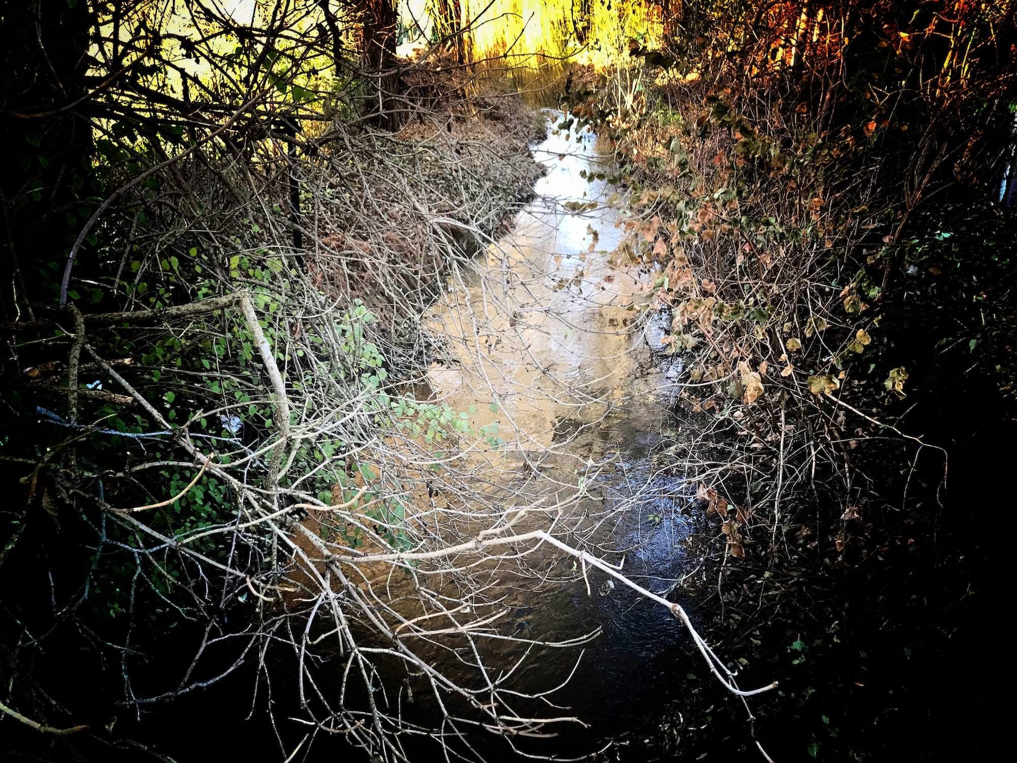 Wege in der Erscheinung