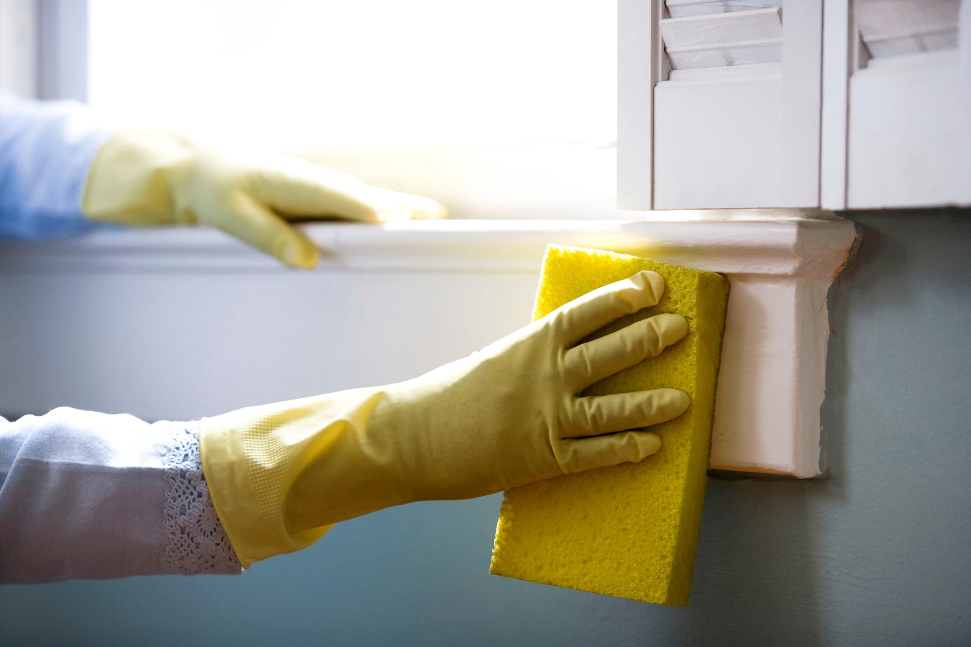 Professional Excellence: Elevate Your Cleanliness Standards with Amazon Cleaning