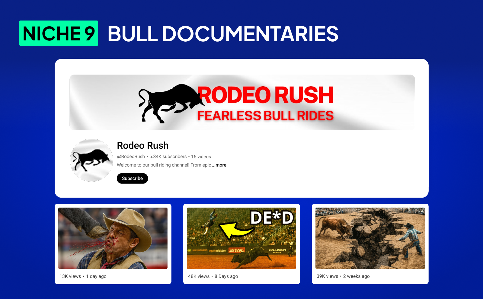 Niche 9 - Bull documentaries Rodeo Rush - Faceless Youtube Automation Niches In August