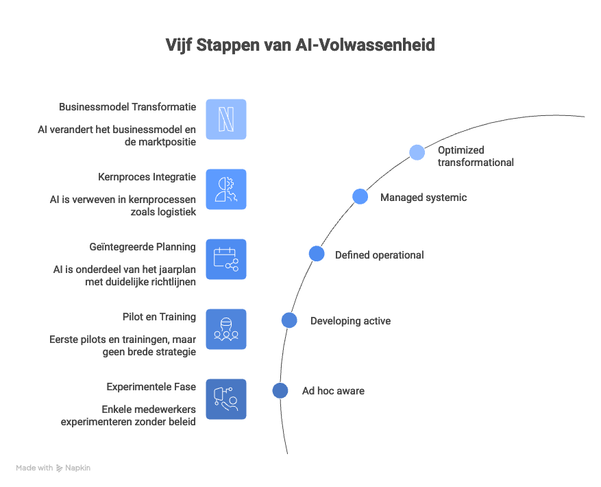 vijf stappen naar AI volwassenheid - infographic