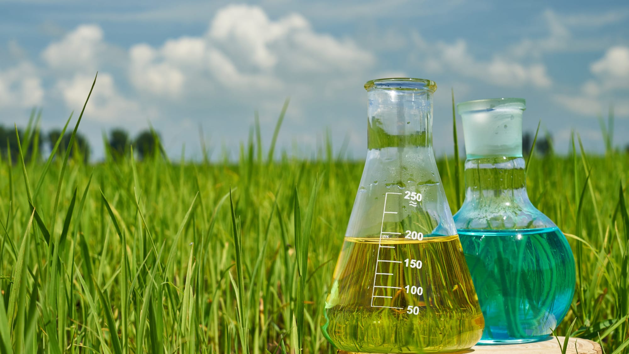 India Bio-Based Chemicals Market Report: Dynamics and Strategic Insights by 2031