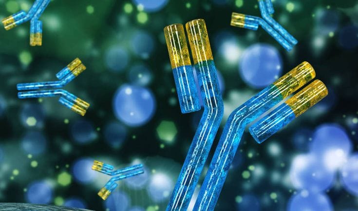 Monoclonal Antibodies Market Set for Dynamic Growth Amid Rising Demand for Targeted Therapies