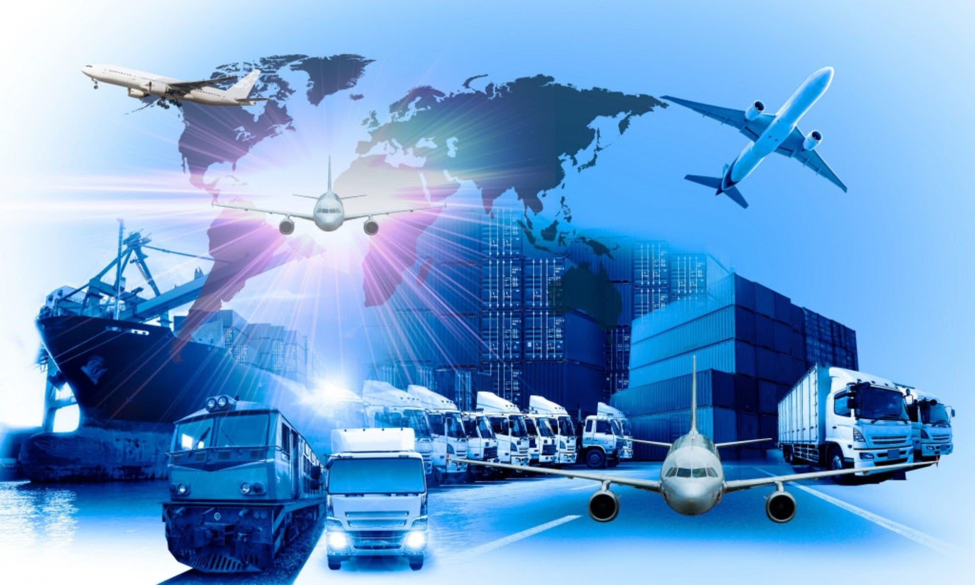 Transport Media Market Report: Ensuring Safe and Efficient Sample Transportation in Healthcare and Research