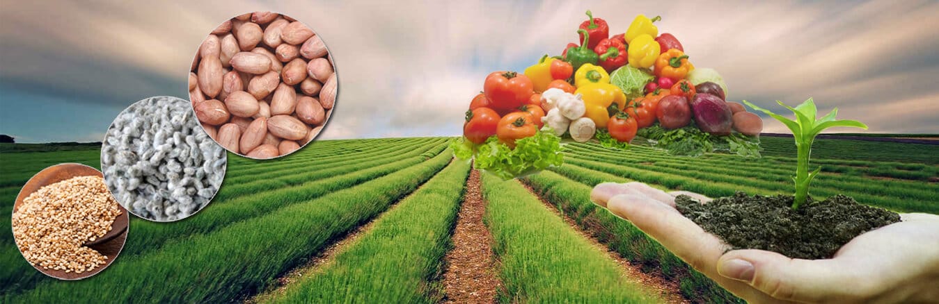 Agriculture Seeder Market: Enhancing Efficiency and Sustainability in Modern Farming