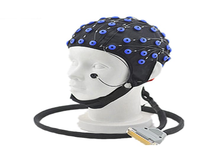 Adult EEG Cap Market Poised for Significant Growth, Driven by Advancements in Neuroscience and BCI Technology