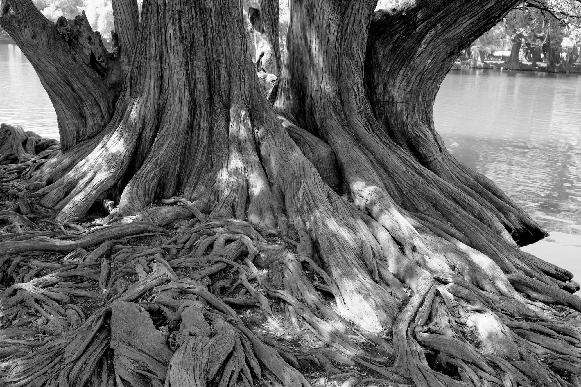 Paisajes en Silencio