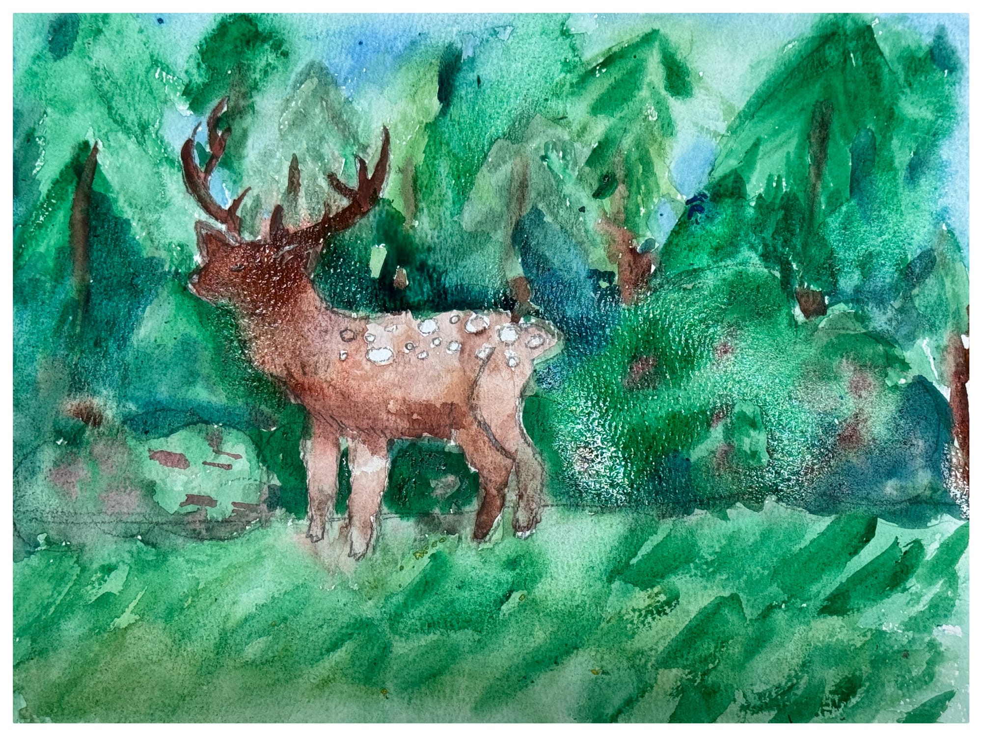 Rain deer