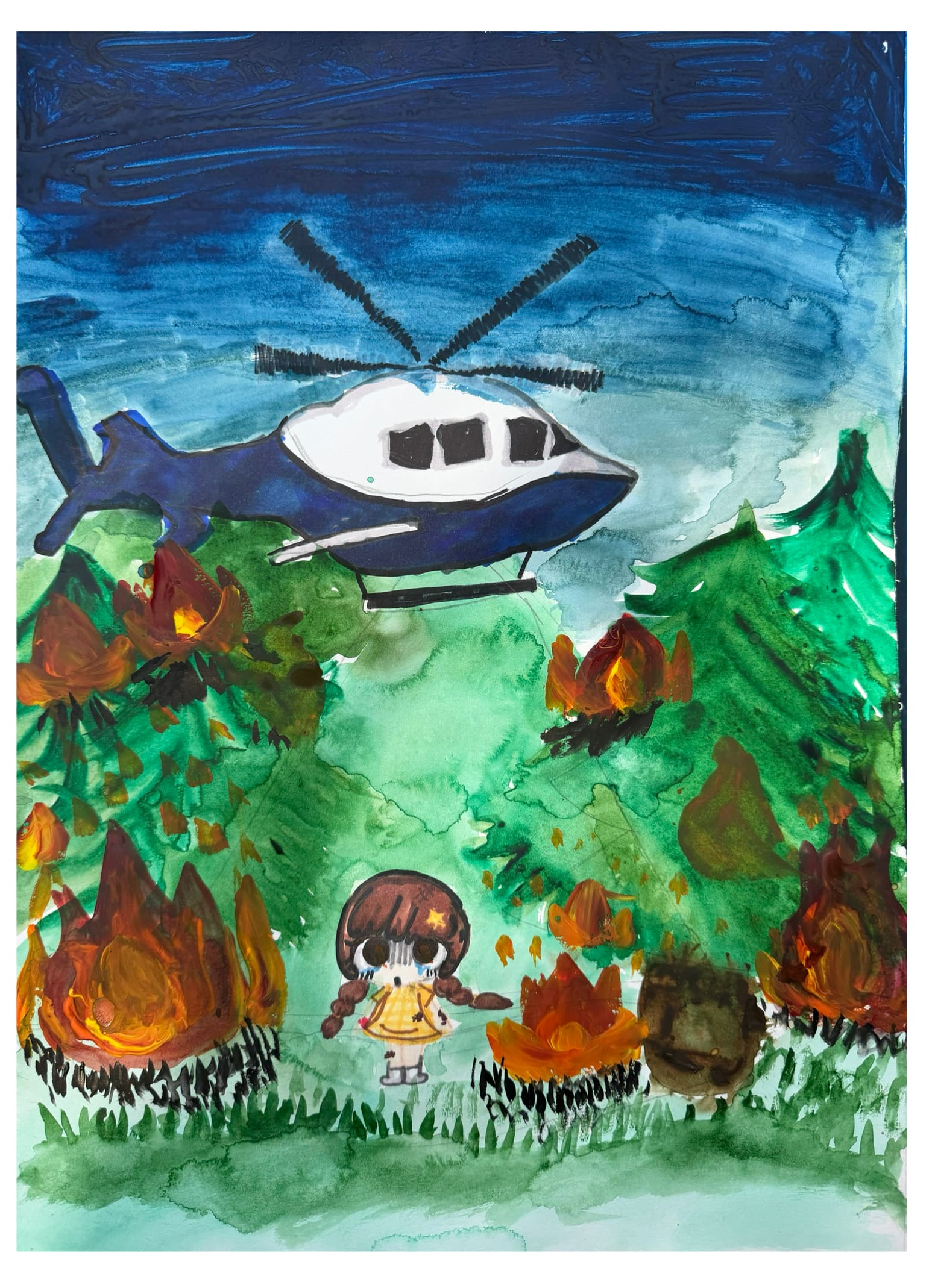 The forest rescue team