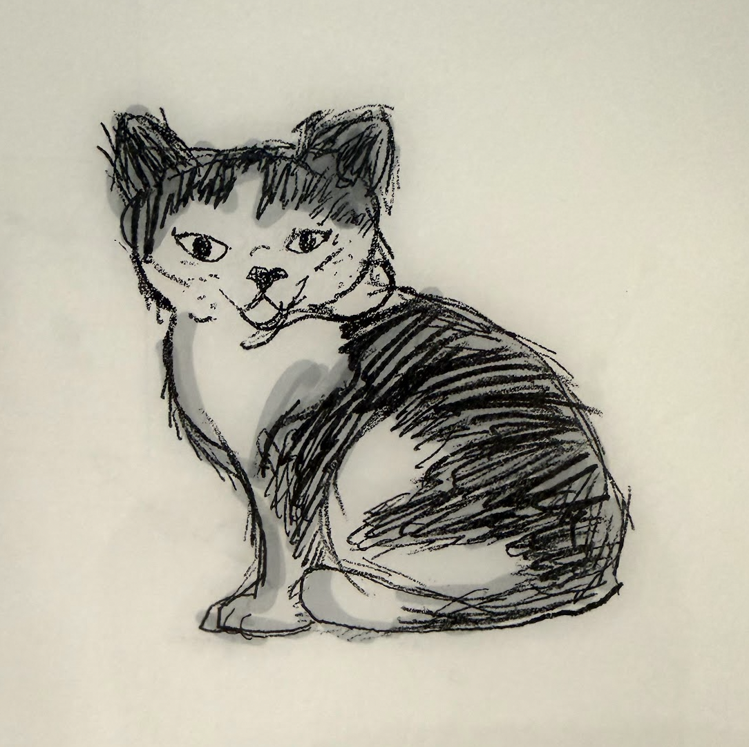 (Untitled)