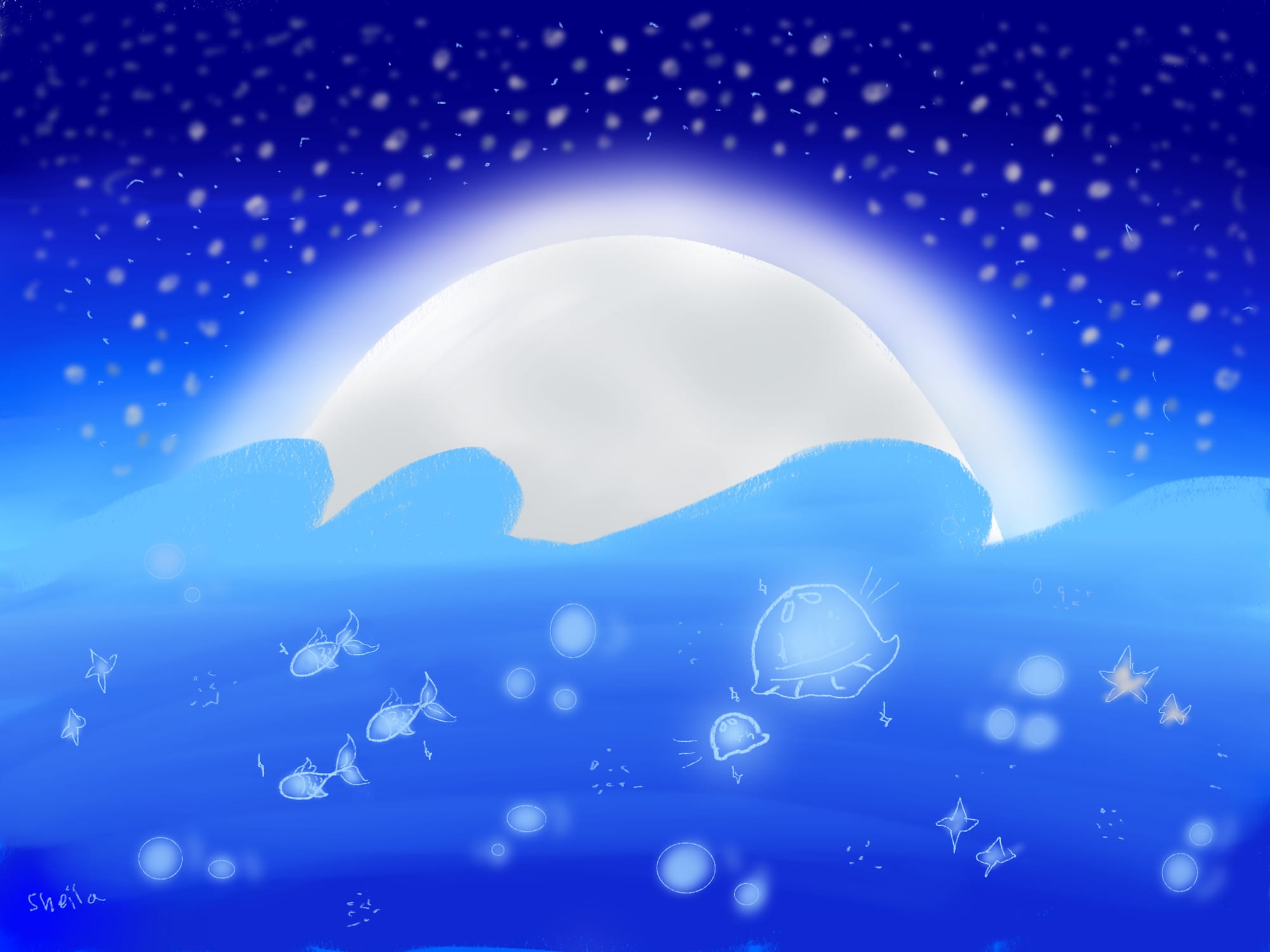 Ocean animals in the night