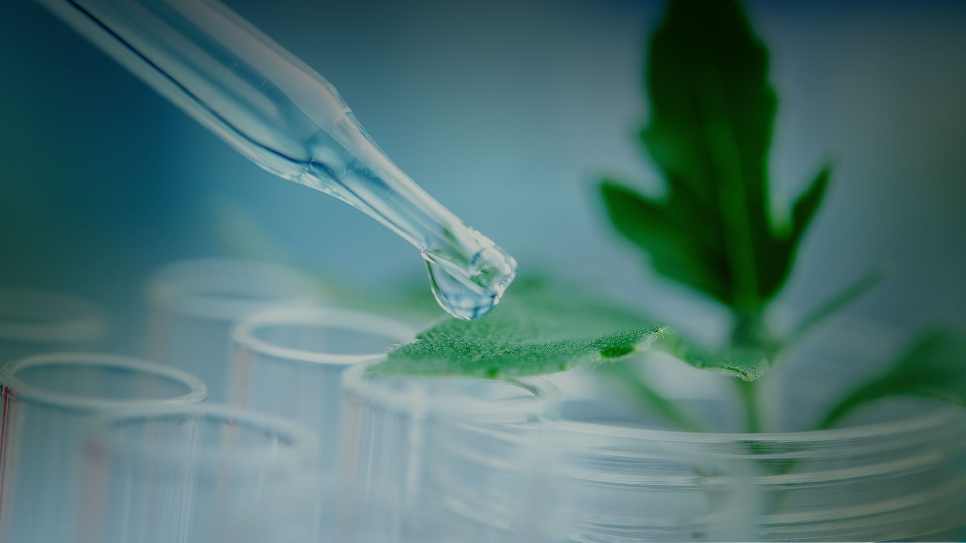 Korea’s Technology Power Couple