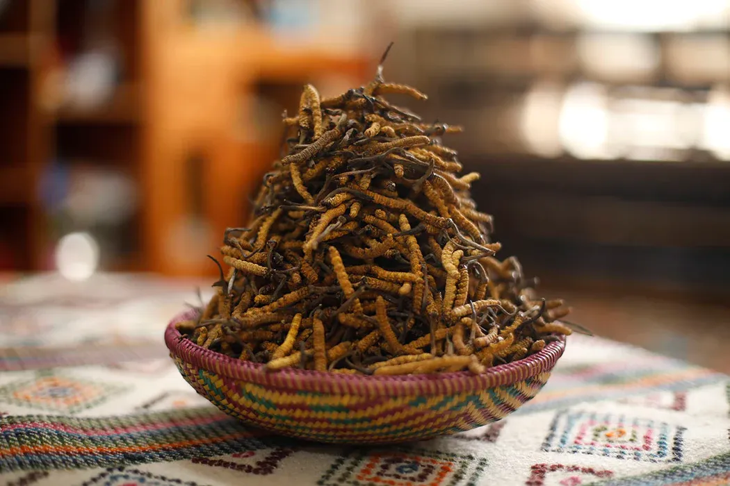 Vitality, Longevity and Strength: the secret wellness routine of Bhutan Royalty