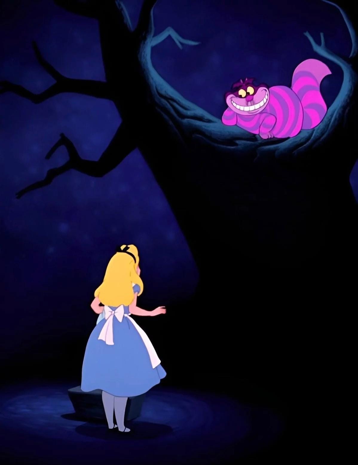 alice e stregatto.jpeg
