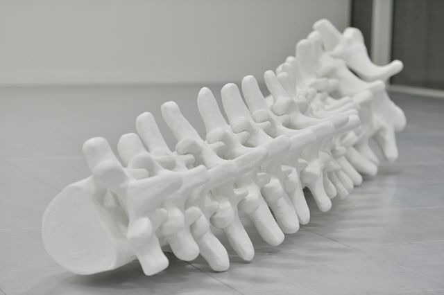 Lisa Gunn - Columna verterbralis Lisa Gunn - Columna verterbralis