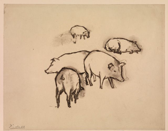 Pablo Picasso (1881-1973): Pigs, c.1906. Charcoal on paper, 213 x 273 mm. © The Courtauld Gallery, London. Succession PicassoDACS 2003