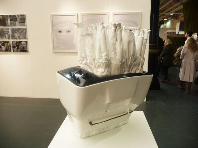 White Dive_Kambiz Sabn