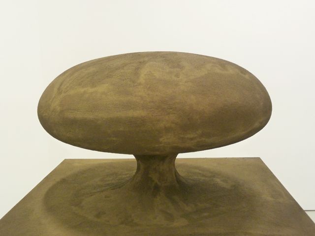 Anish Kapoor. In the Shadow of the Tree and the Knot of the earth II 2008 anish kapoor_in the shadow II