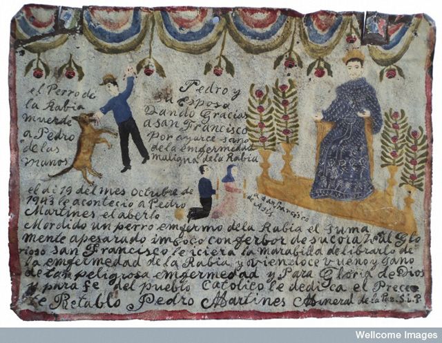 Infinitas Gracias exhibition. Infinitas Gracias: Mexican Miracle Paintings. Votive on tin, 1943(c) Santuario de San Francisco de Asis de la Diócesis de Matehuala / INAH The dog with rabies bites Pedro’s hands. Pedro and his wife give thanks to Saint Francis for finding himself healthy from the horrible illness of rabies. On the 19th day of the month of October, Pedro Martines was bitten by a rabid dog which left him deeply worried. He pleaded with all the fervour of his heart to the glorious Saint Francis to free him from the illness of rabies. Finding himself in good health after the threat of such a dangerous disease and for the Glory of God and the Catholic faith he now dedicates this retablo. Pedro Martinez. Mineral de la Paz, SLP