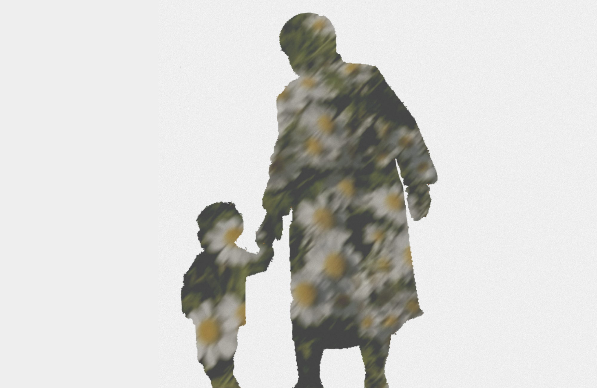 El Jardín de Margaritas