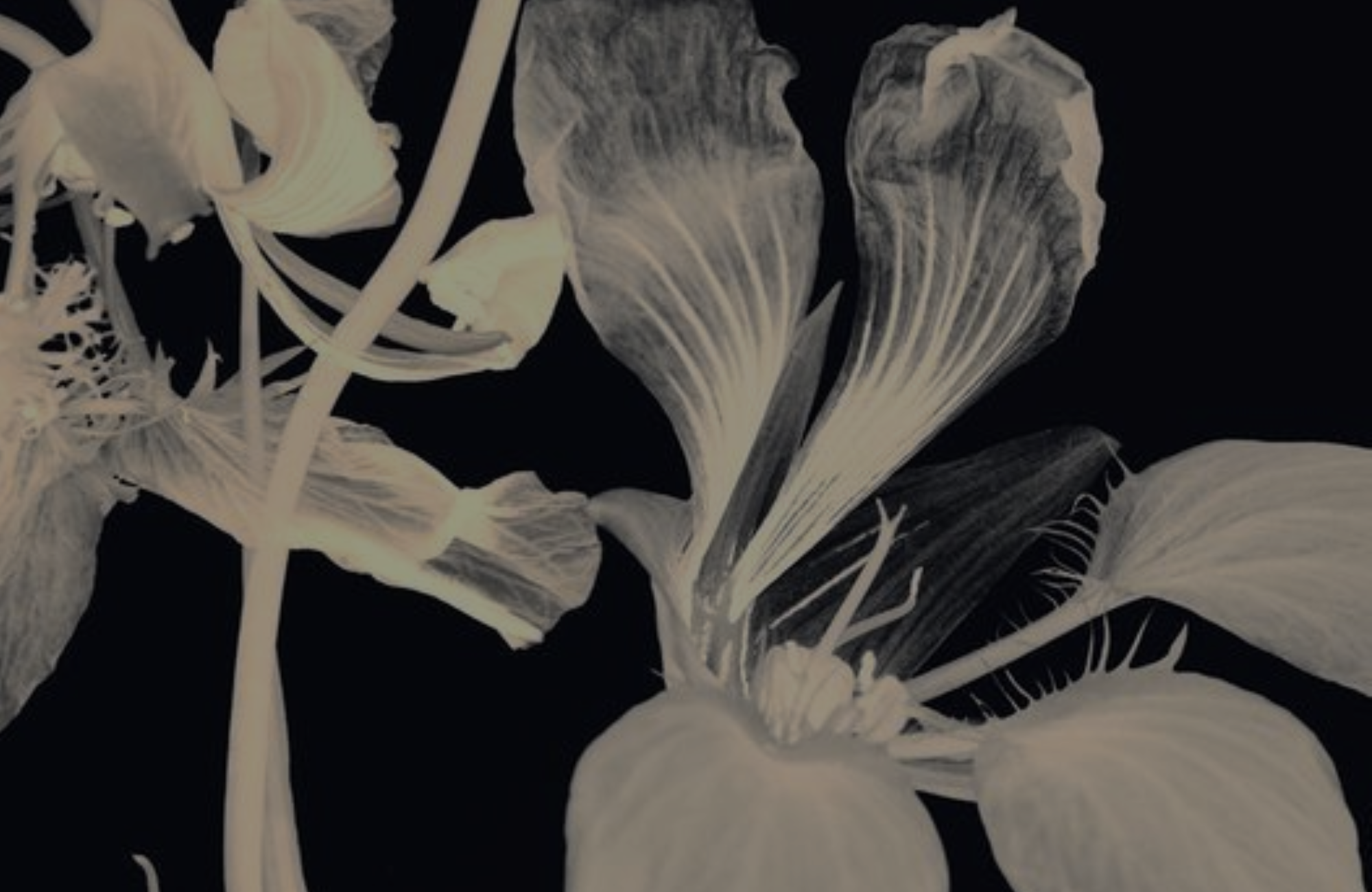 Una más de mil noches