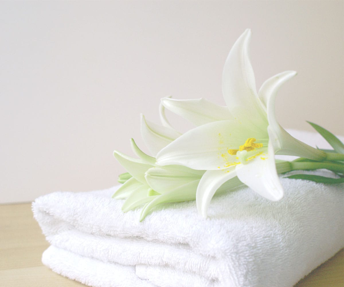 Bulk Towels Suppliers: How to Choose the Right Partner for Your Business Needs