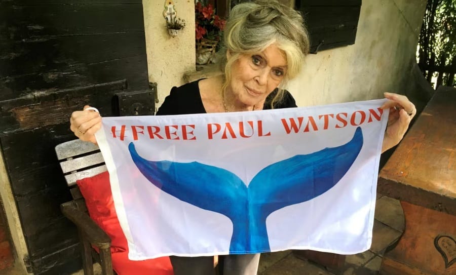 Brigitte Bardot - Initials BB - une légende française