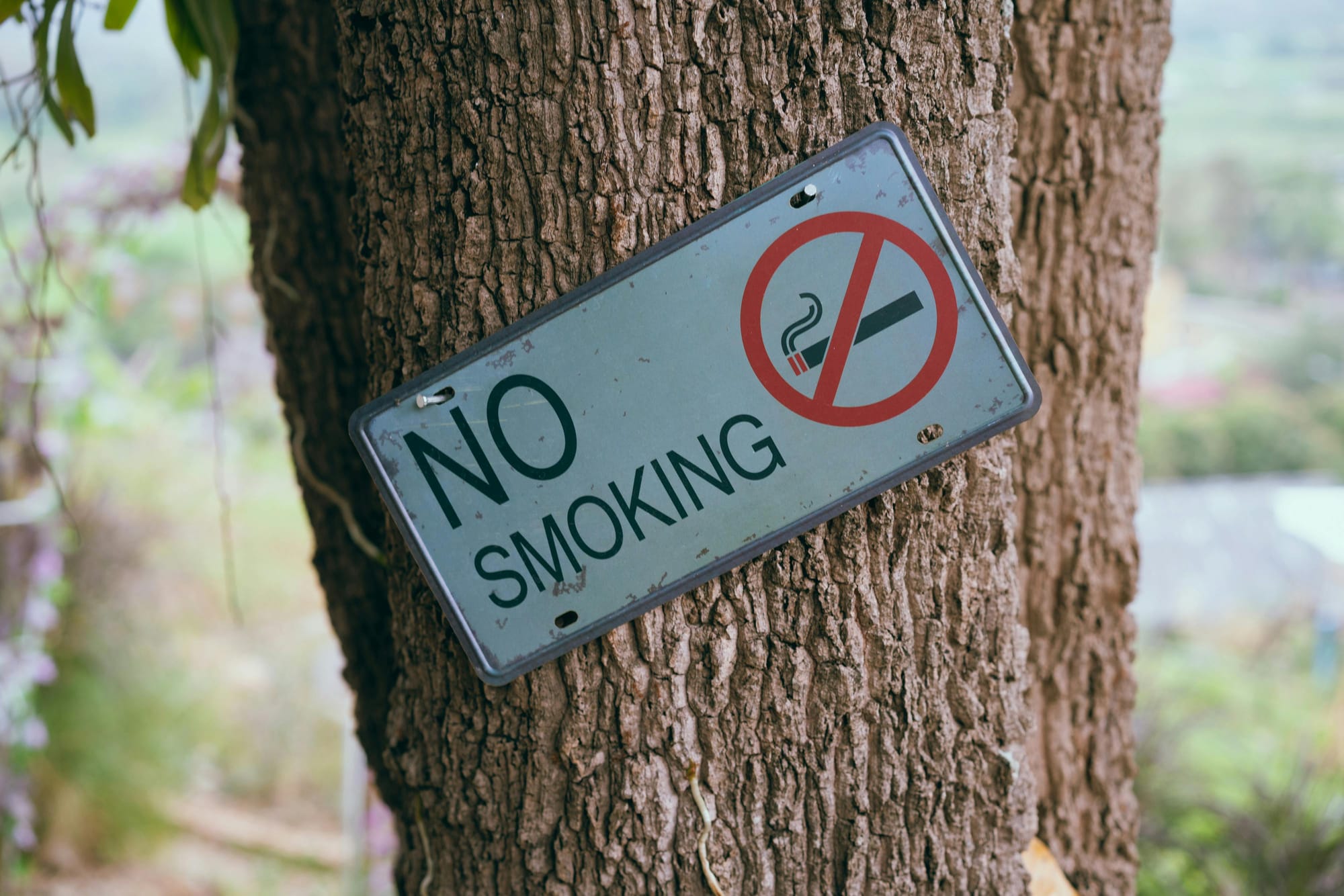 La Suède sans tabac : réussite ou écran de fumée ?