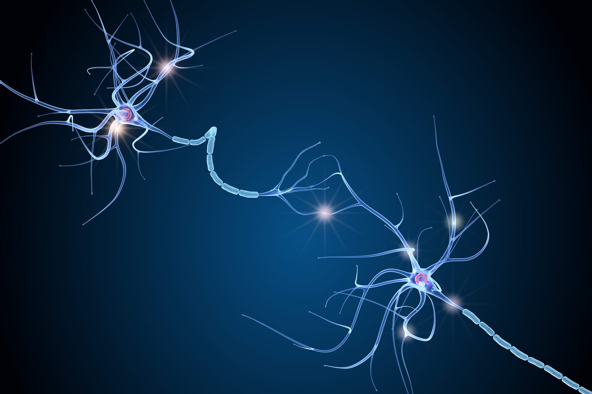 Evolution sur la maladie d’Alzheimer après vaccination par le BCG
