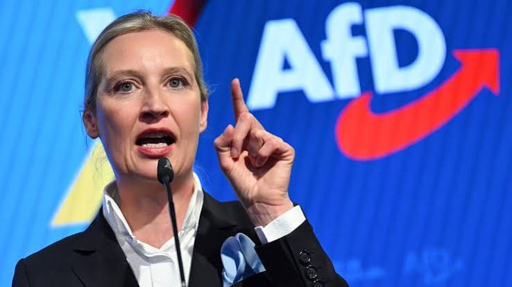 L’AfD envisage un référendum sur l’UE en cas d’échec des réformes